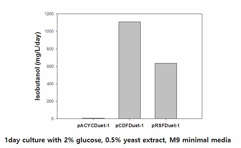 One vector system에서의 이소부탄올의 생산