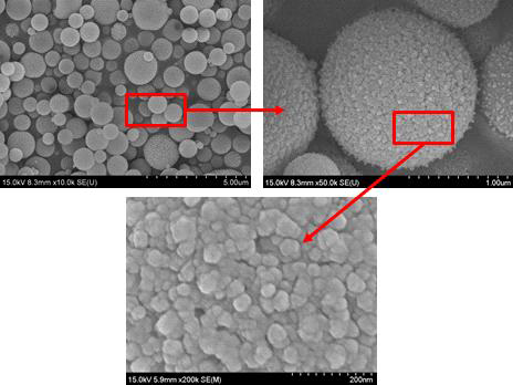 후열처리 전 입자의 SEM 분석 결과