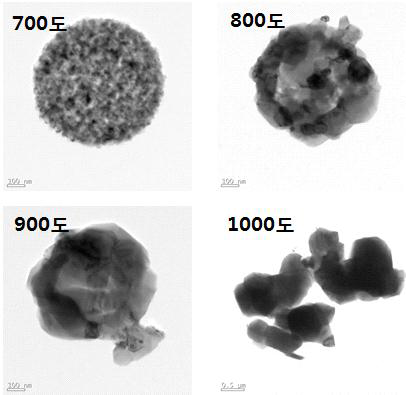 후열처리 온도별 입자의 형태 분석 (TEM)