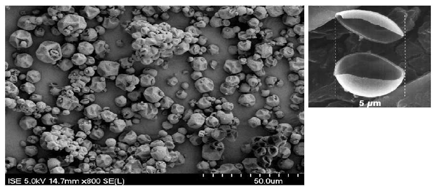 Fhg-ISE의 캡슐(좌)과 BASF사의 열린 마이크로 캡슐(우)의 전자 현미경 이미지