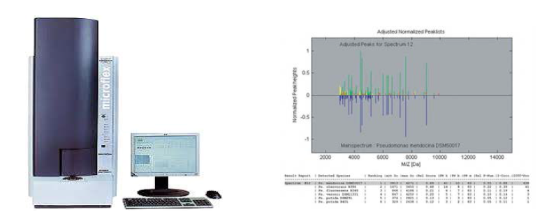 Bruker Daltonics社의 MALDI Biotyper 사진(左)와 질량분석 스펙트럼(右)