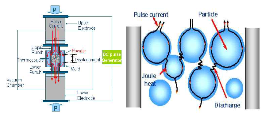 pulse 전류 인가에 따른 흑연 mold내의 분말입자 사이의 pulse current의 흐름