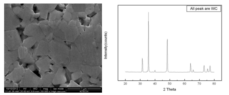Co-free WC 소결체의 미세조직 및 상분석 결과