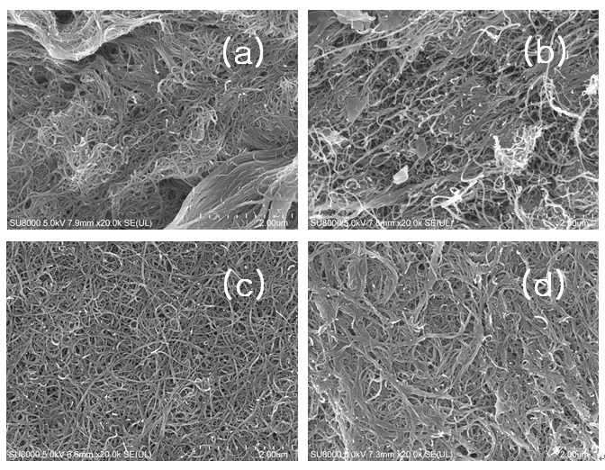 탄소나노튜브 버키페이퍼 샘플의 FE-SEM images