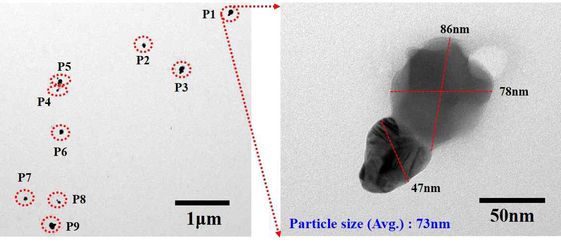 TEM 분석을 통한 Ag 나노입자 크기