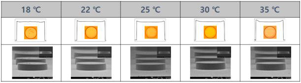 공정온도별 도금막 특성 평가 결과 (OM, SEM, 3D laser 현미경)