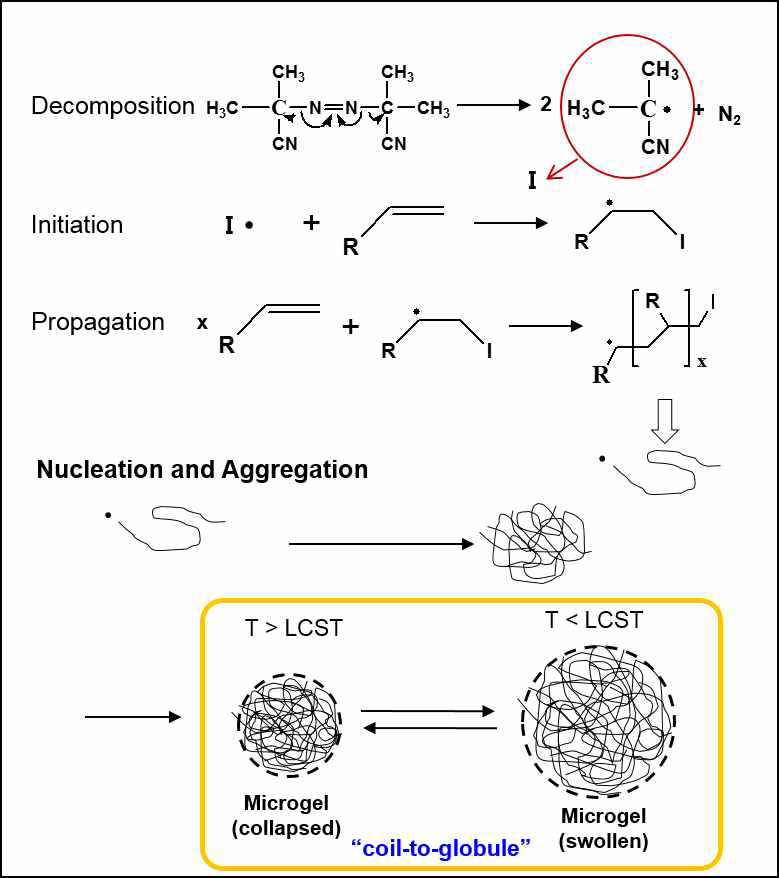 온도 감응형 고분자인 Poly(N-isopropylacrylamide)의 중합 매카니즘