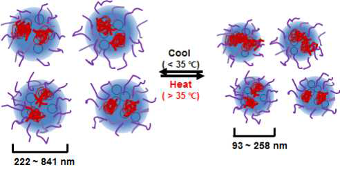 QD/PNIPAM 나노구조체의 온도변화에 따른 입자크기 변화 모식도
