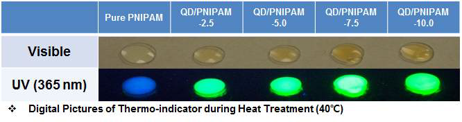 MBA 농도별((a) 2.5%, (b) 5.0%, (c) 7.5%, (d) 10.0%)로 제조된 QD/PNIPAM 나노구조체는 고온에서 자외선에 노출하면 형광특성