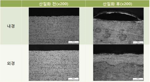 산질화 전, 후 단면조직