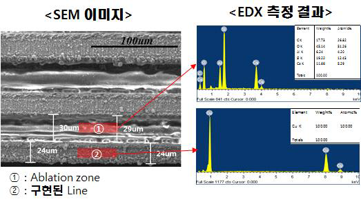 2차년도 SEM 및 EDX 분석 결과