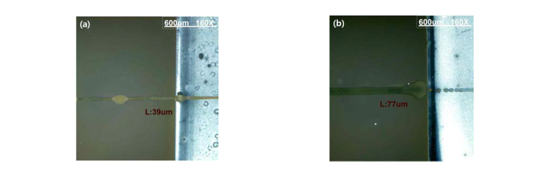 광학현미경 이미지; (a) Fluorocarbon 코팅한 기판, (b) Fluorocarbon 코팅하지 않은 기판