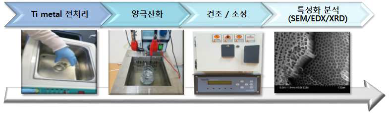 양극산화를 이용한 TiO2 나노튜브 제조 공정도.