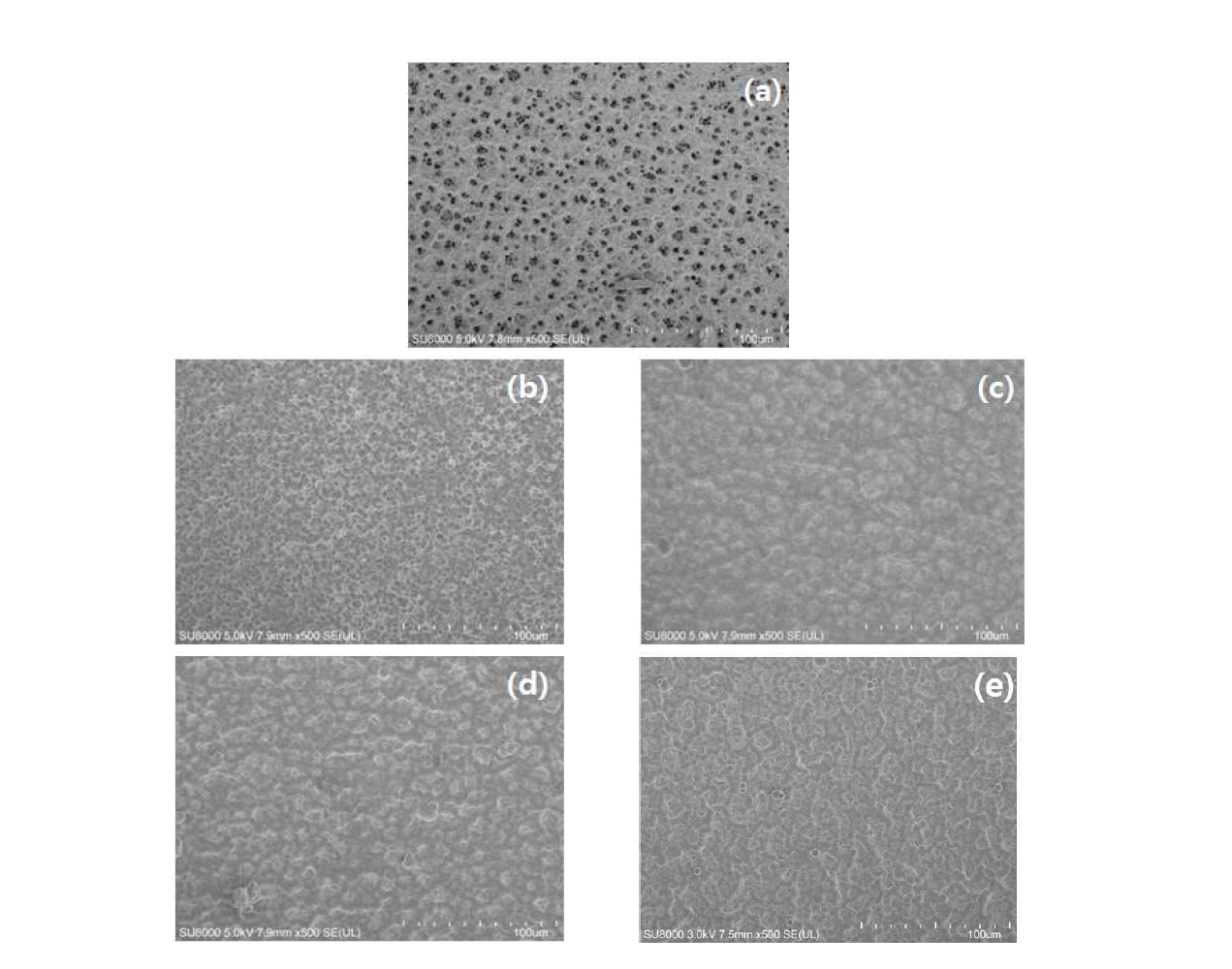 무전해 도금 표면의 FE-SEM image; (a) Epoxy, (b) Ag powder 0.375g/l, 10min, (c) Ag powder 3g/l, 10min, (d) Ag powder 0.375g/l, 60min, (e) Ag powder 3g/l, 60min