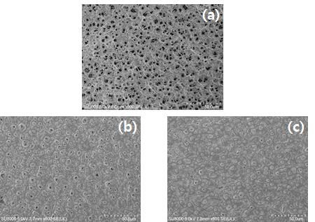 무전해 도금 표면의 FE-SEM image; (a) Epoxy, (b) Cu powder 0.75g/l, 2h, (c) Cu powder 1.5g/l, 3h