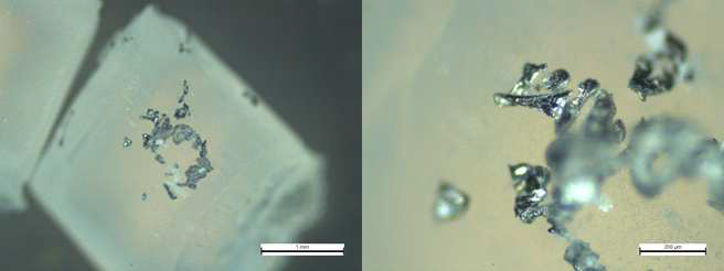 유도가열 후 나일론 6.6 + 알루미늄 파우더 광학현미경 관찰 사진