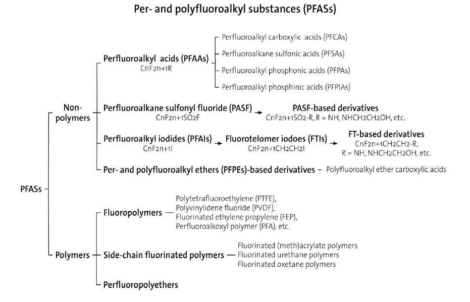 Per- 및 polyfluoroalkyl substances (PFASs)의 일반적 분류