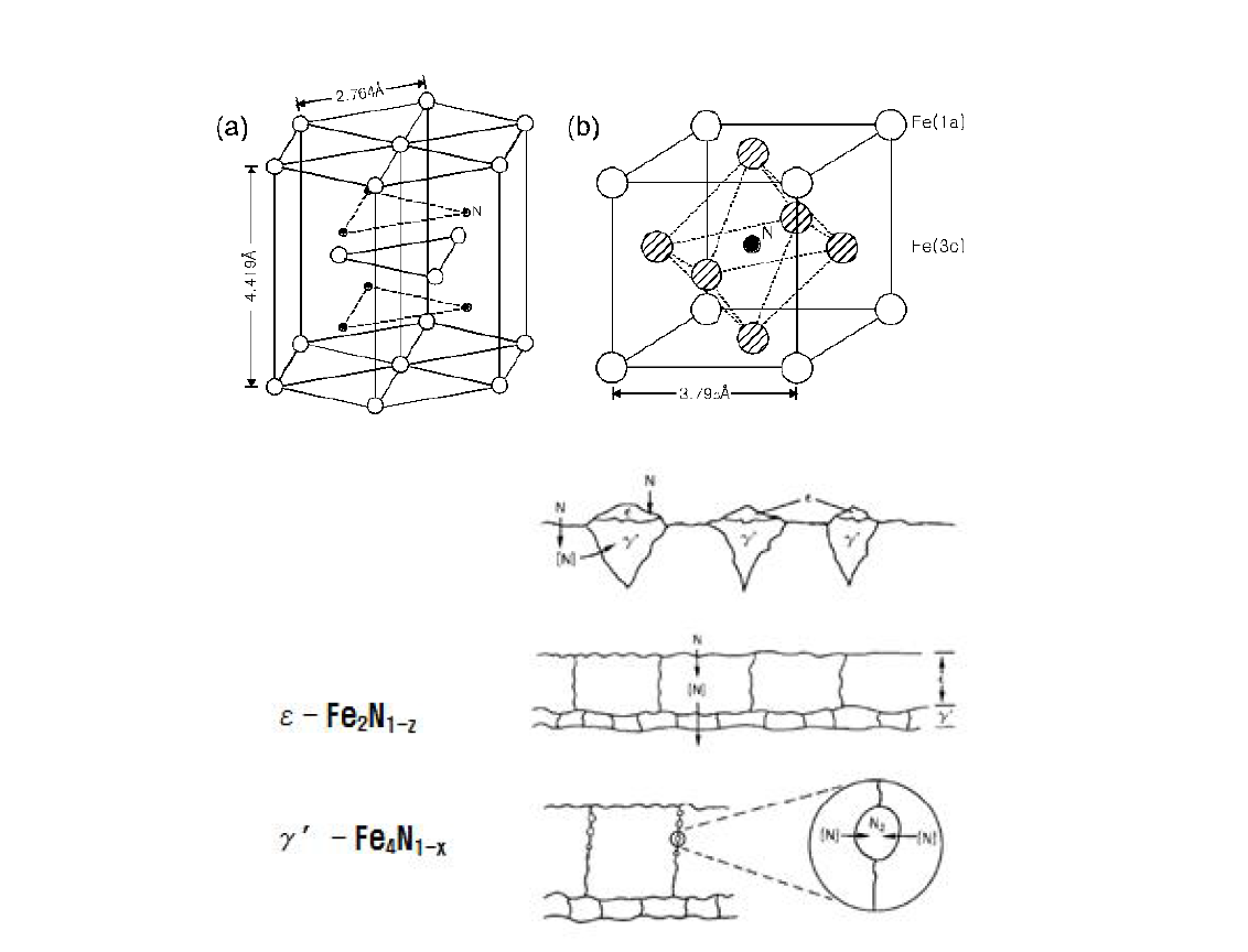 금속소재 질화과정의 ε상(a)과 γ′상(b)의 형태