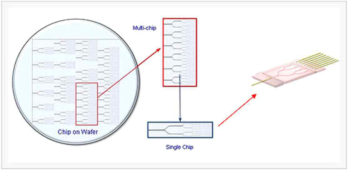 6인치 PLC Wafer & Chip 구조