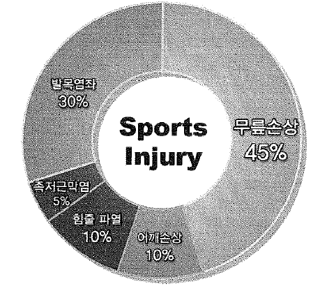 스포츠 손상의 종류 및 비율