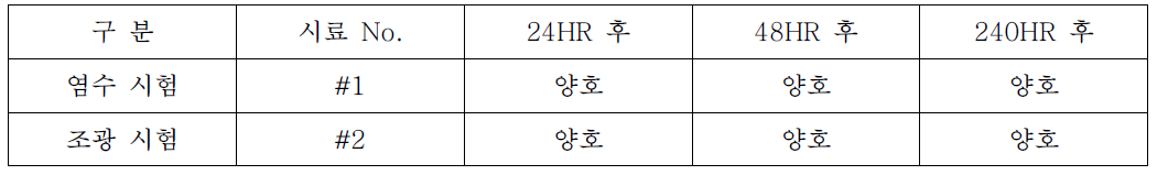 시험 결과