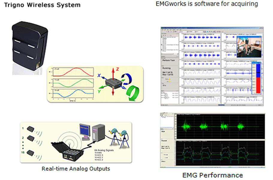EMG 구성 및 signal