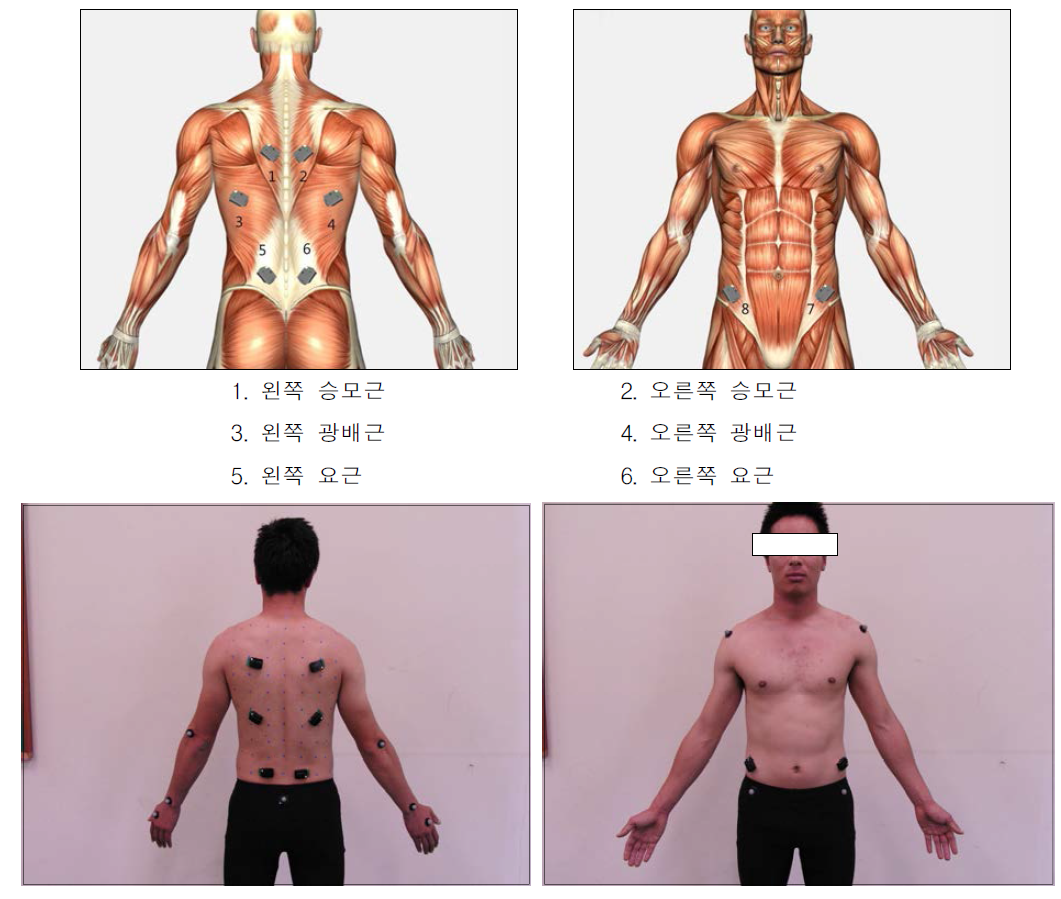 표면 전극 부착 위치