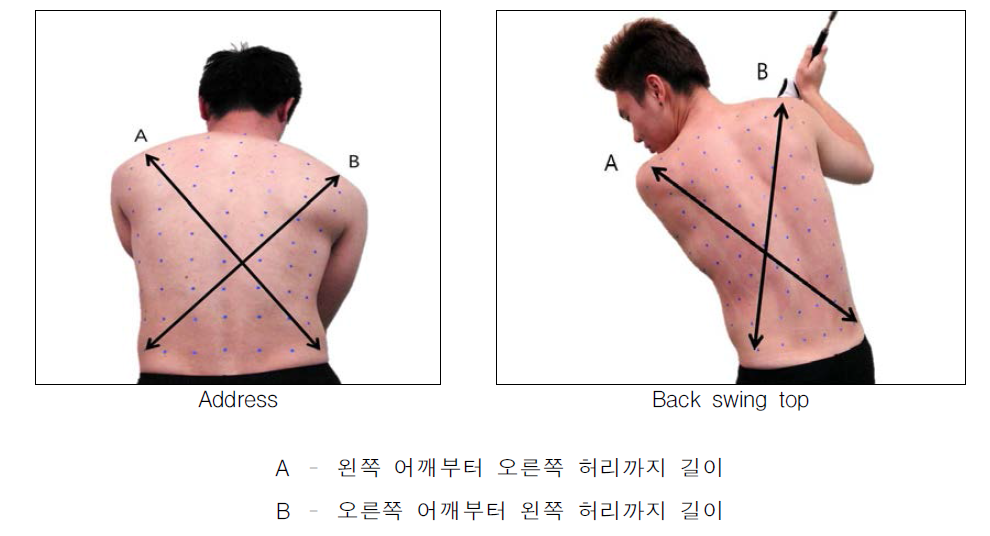 Marking of back muscle