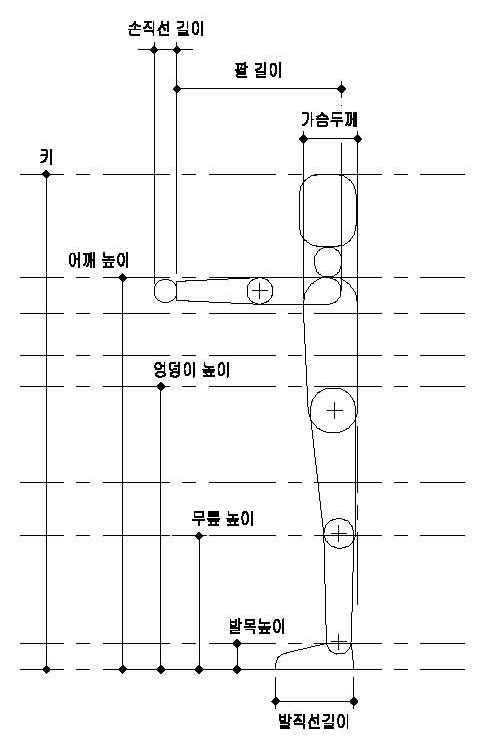 선 자세 신체 치수 항목