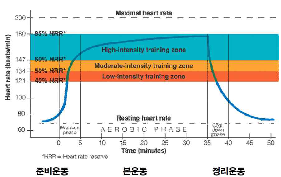 과 운동 방지를 위한 운동 강도 배분 결정 표본