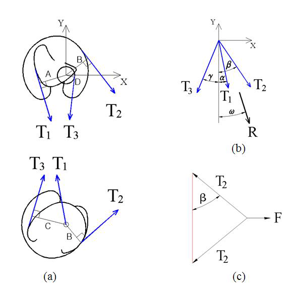 Tensile forces applied to cams