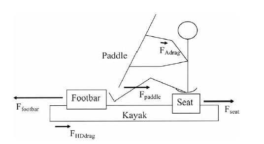 패들링 시 인체와 보트에 작용하는 힘
