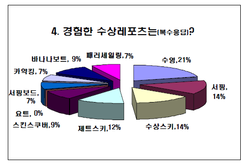 수상레포츠 장비 경험 형태