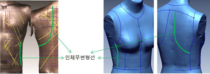 소비자 감성, 인체무변형선, 3D 형태를 고려한 디자인 라인 선정