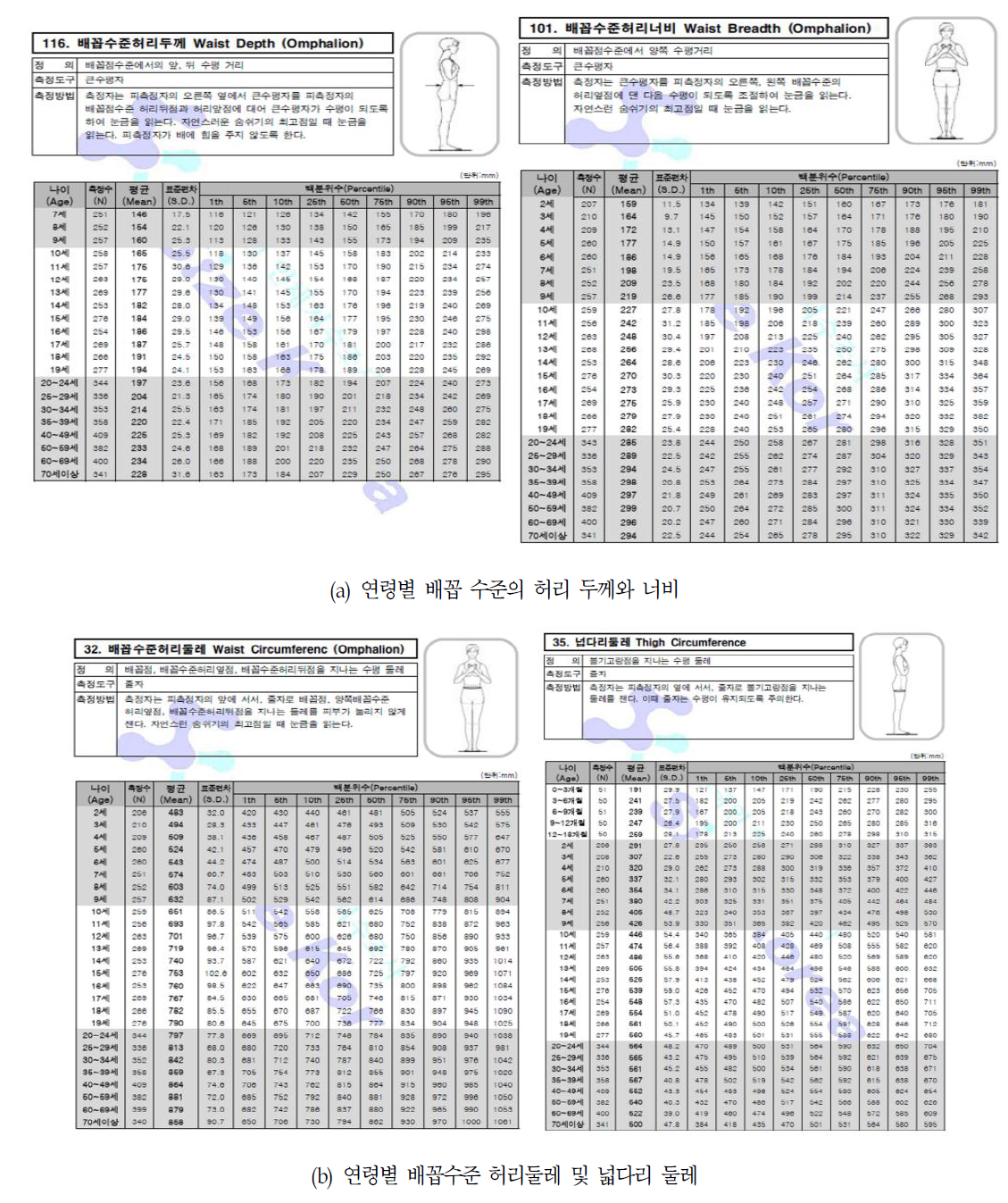 연령별 허리 및 너비 둘레 표준 DB