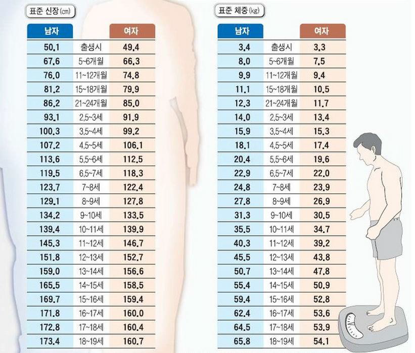 질병관리본부 제공 성장도표 중 표준신장과 표준체중