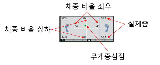 체중 UI 설명