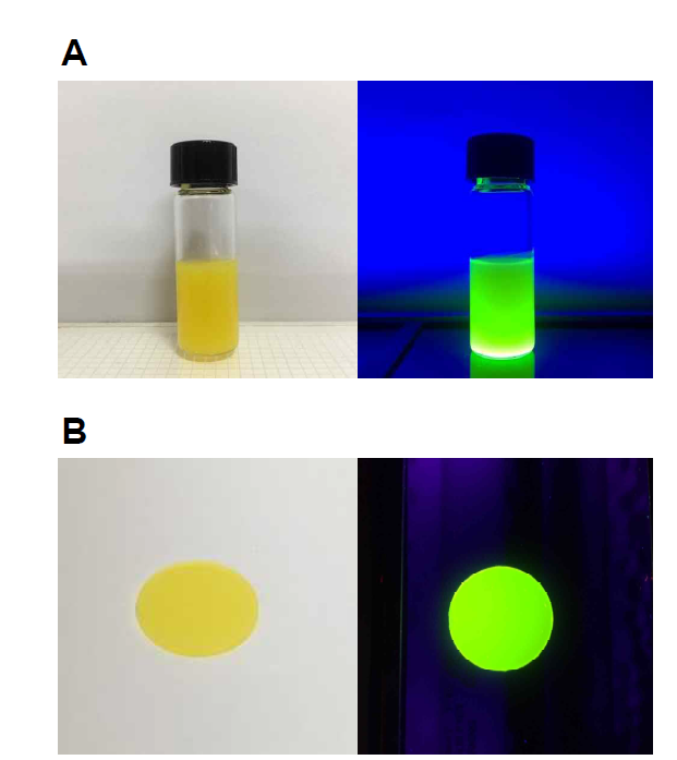 (A) 40일 동안 상온대기환경에 보관한 양자점-실록산 수지의 사진. (B) 양자점- 실록산 재료의 사진.