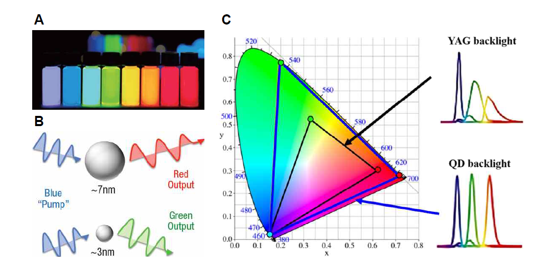 (A-B)양자점 크기에 변화를 통한 광학적 특성의 조절. (C) 양자점의 좁은 발광 파 장으로 인한 높은 색 순도 구현