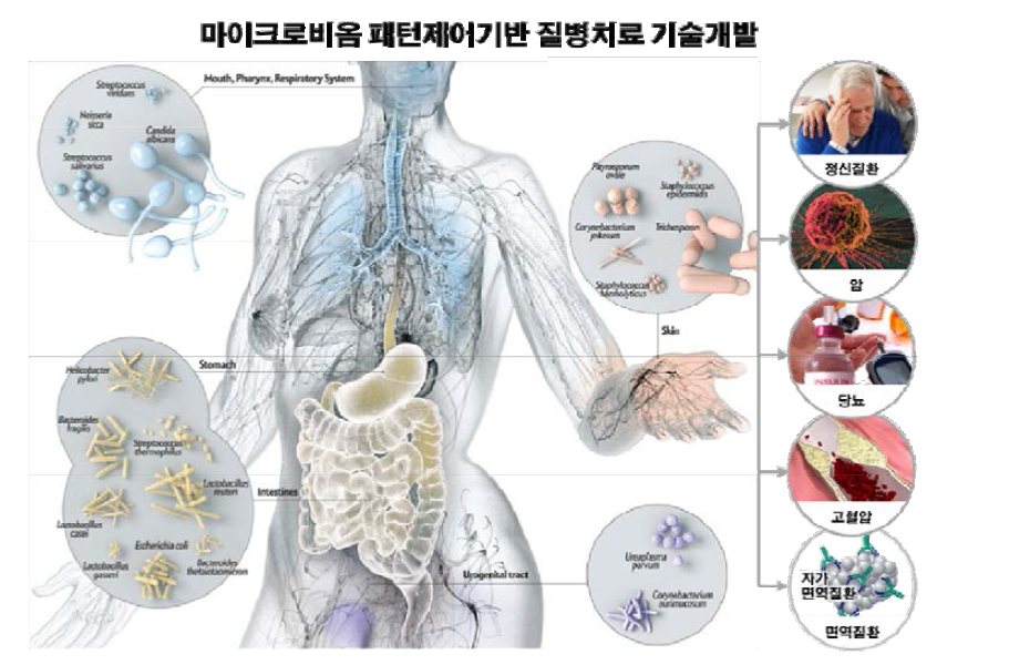 한국인 마이크로비옴 패턴분석 및 패턴제어기반 치료질병군