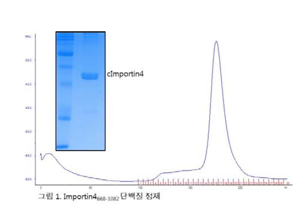 고순도로 정제된 cImportin4