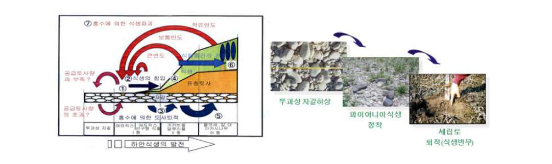 육역화 진행과정