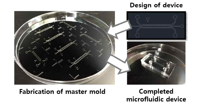 미세유체소자의 제작 과정