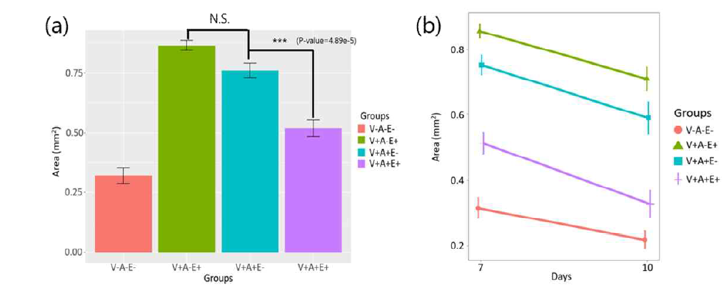 실험군 별 (a) 7일차의 혈관 넓이 및 (b) 10일차의 혈관넓이와의 비교