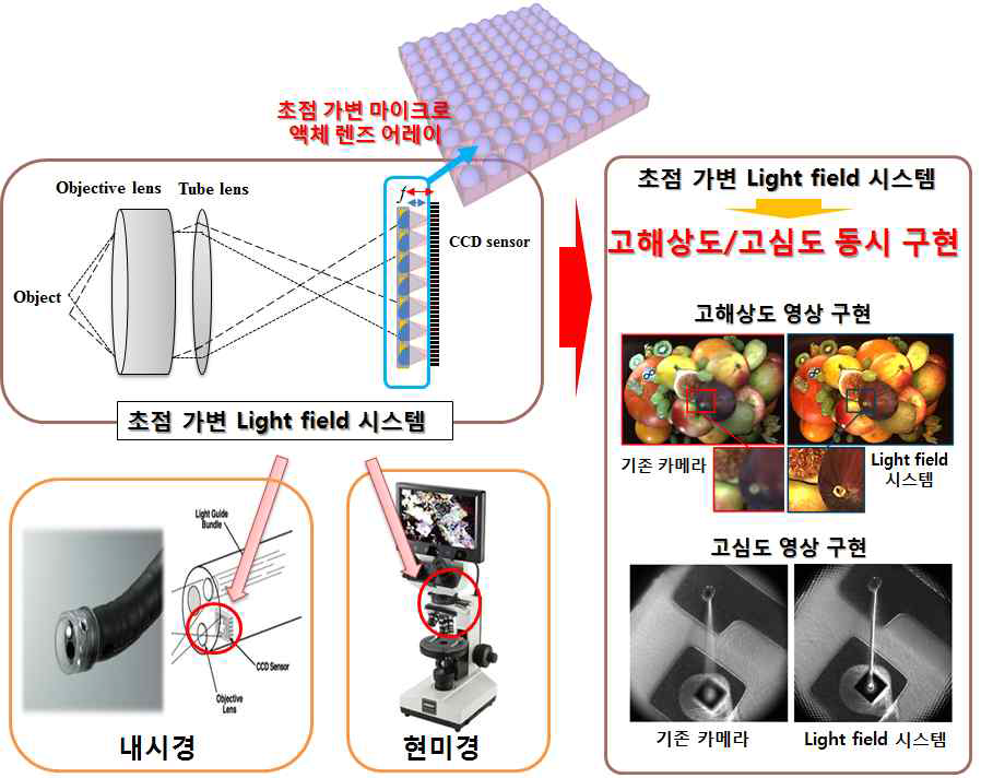 초점 가변 액체 렌즈 기반 Light field 3D 내시경/현미경 모식도