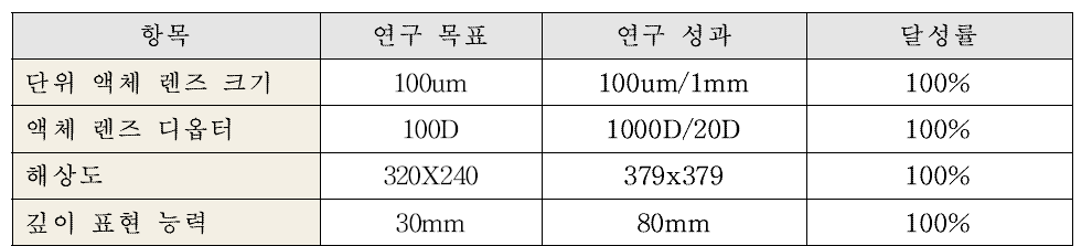 연구개발목표 및 달성도