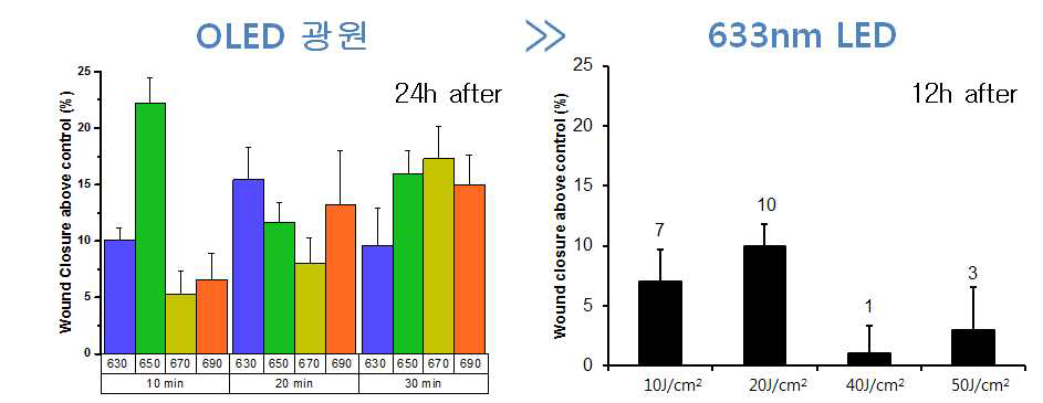 OLED 광원과 LED 광원에서의 상처치유 효과 및 비교 (Migration test)