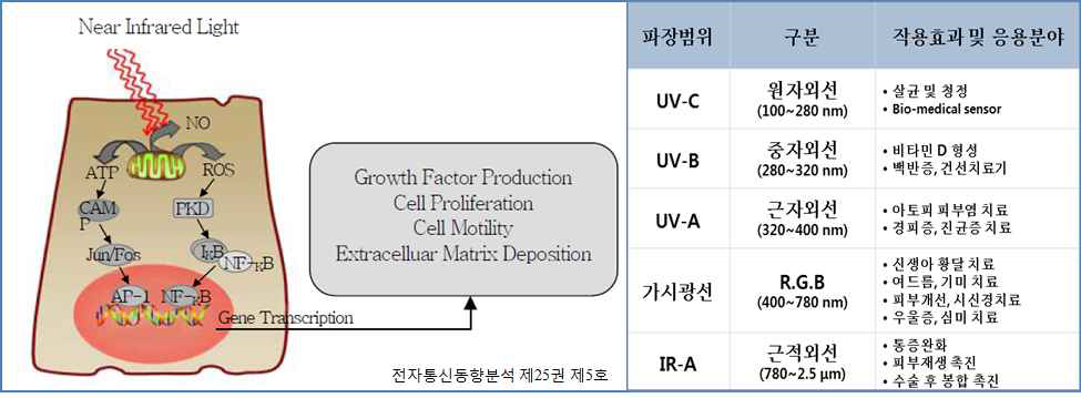 광선 치료 기본 원리 및 특정 파장 범위에서 광선 치료의 적용효과