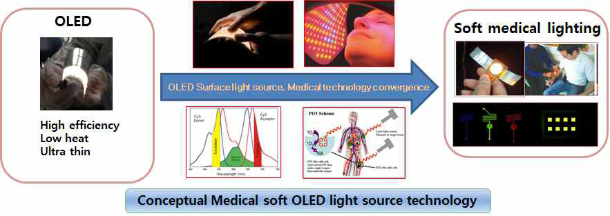 차세대 포토세라피 헬스케어 응용을 위한 광원 기술 개발