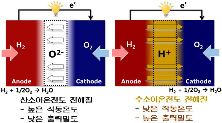 두 가지 서로 다른 전해질을 사용하는 연료전지의 비교